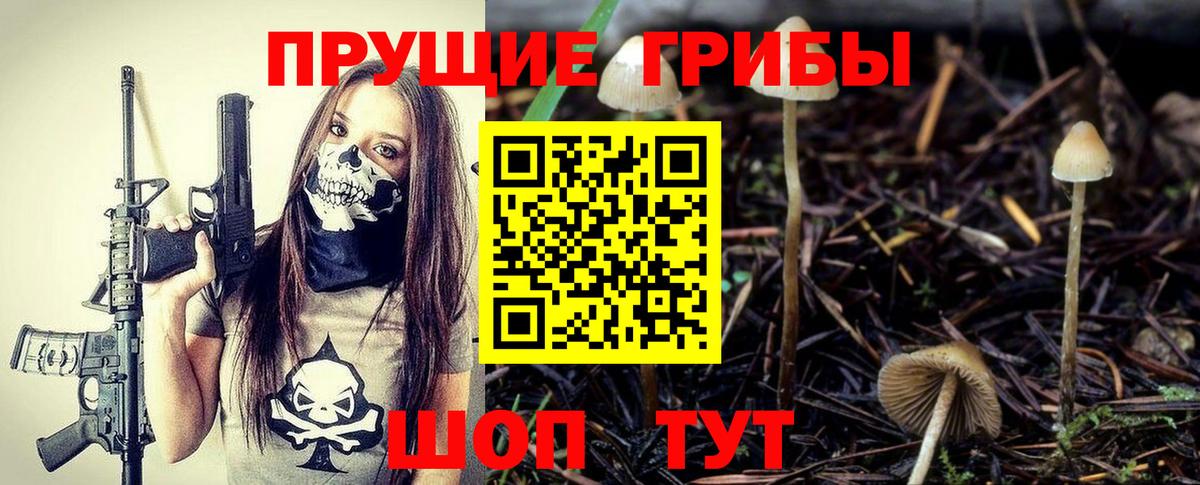 где продают наркотики  Псилоцибиновые грибы мухоморы  Вход с VPN  Арзамас  Галлюциногенные грибы Psilocybe 