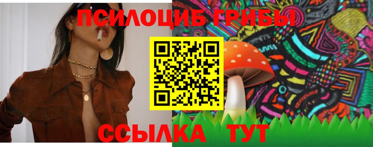 Галлюциногенные грибы мицелий Арзамас